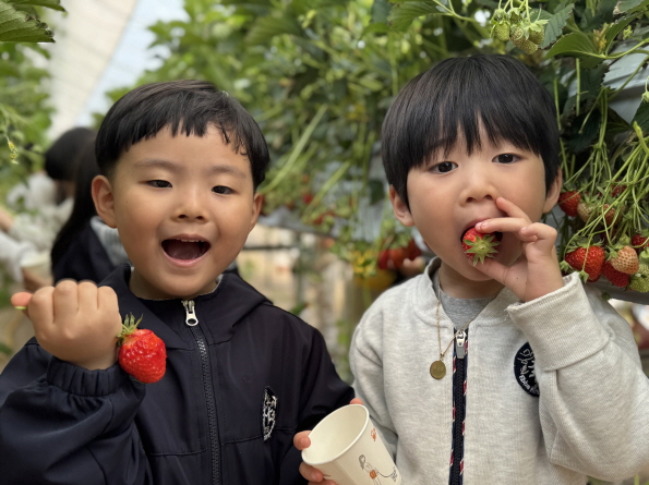 상큼하고 달콤한 딸기와 함께!